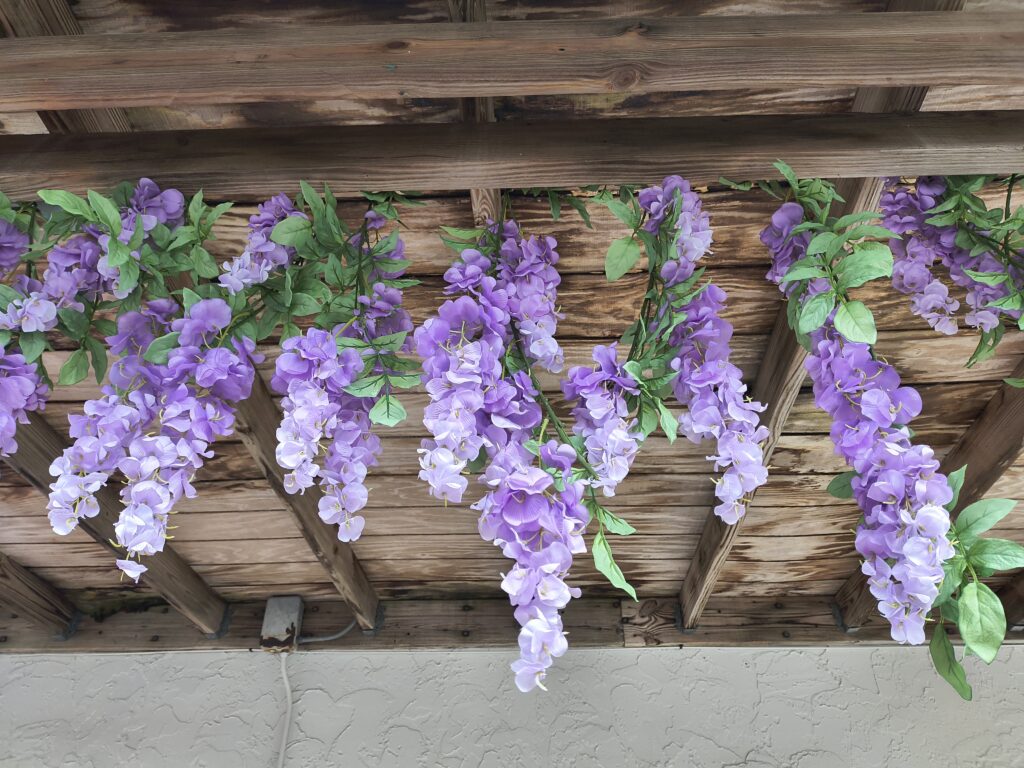 Yoga and Wellness Popup Event at Ignite Raja!